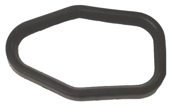 Exhaust Leg Seal