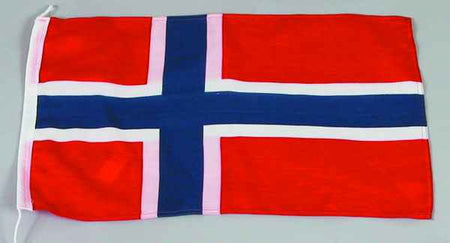 Gæsteflag norge       20x30 cm