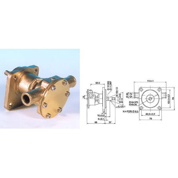 Pumpe m/flange t/motor st 123