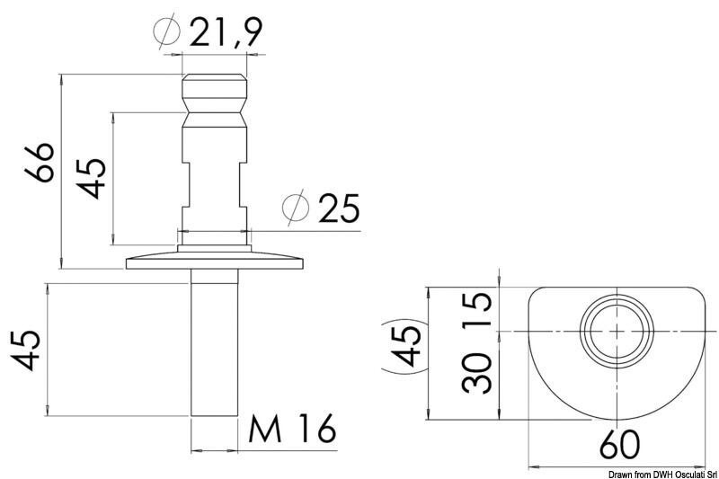 Scepter Base AISI316 oval