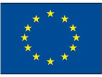 EUROP FLAG 20X30