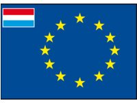 EUROP FLAG DUTCH 20X30