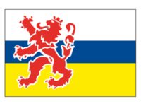 LIMBURGSE FLAG 20X30